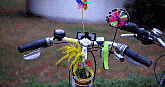 uli_img_9757rand.gif