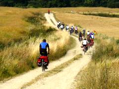 Foto: Alexander Friedensradfahrer fahren hintereinander auf einem Feldweg. Foto: Alexander